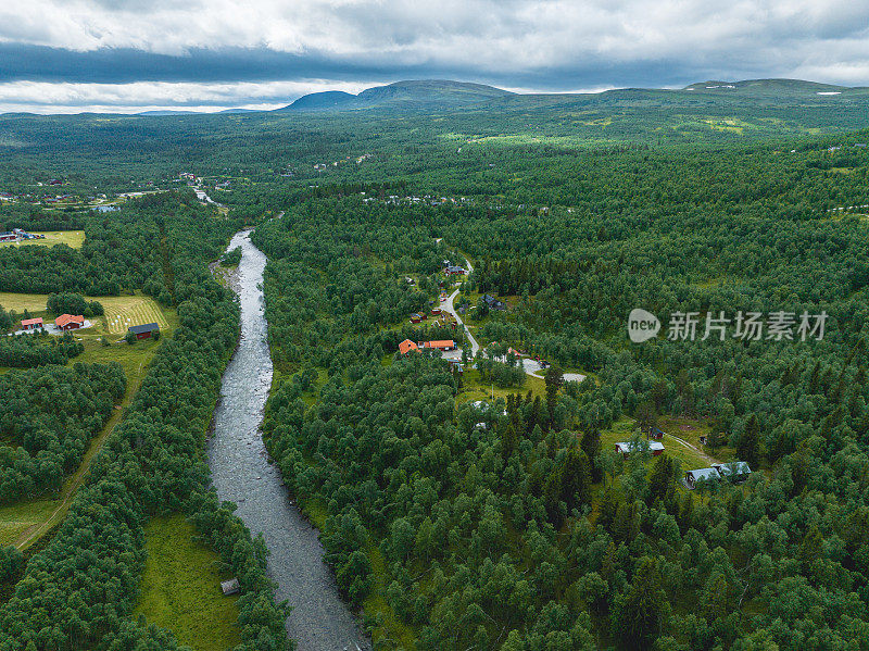 河流穿越绿色森林景观