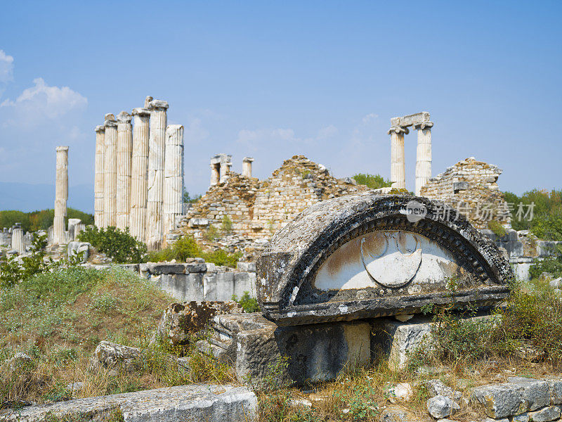 春草古城，aydın。火鸡