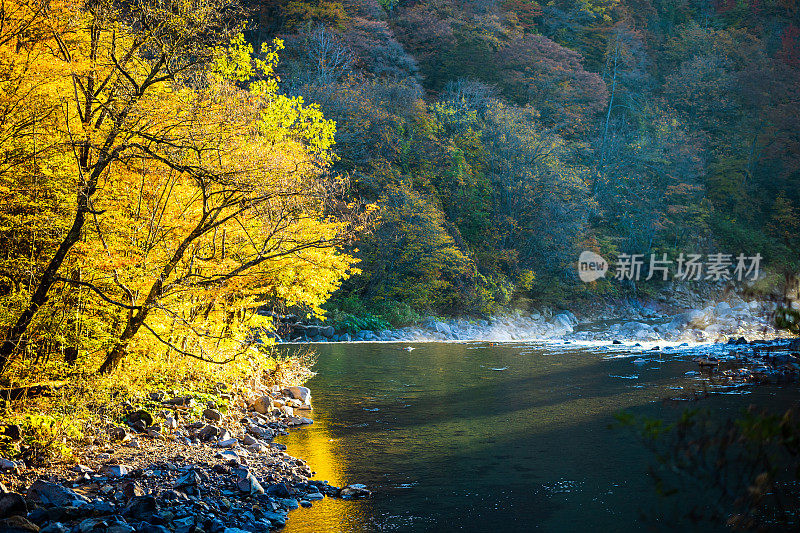 五彩缤纷的秋日山林风光