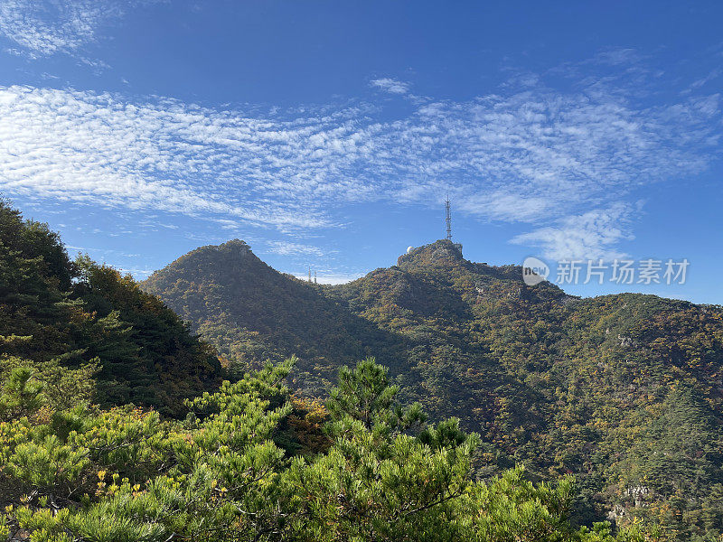 首尔的秋山