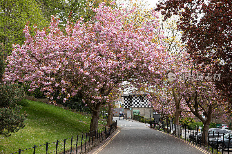 英国约克郡北部的Knaresborough小镇的春天街景