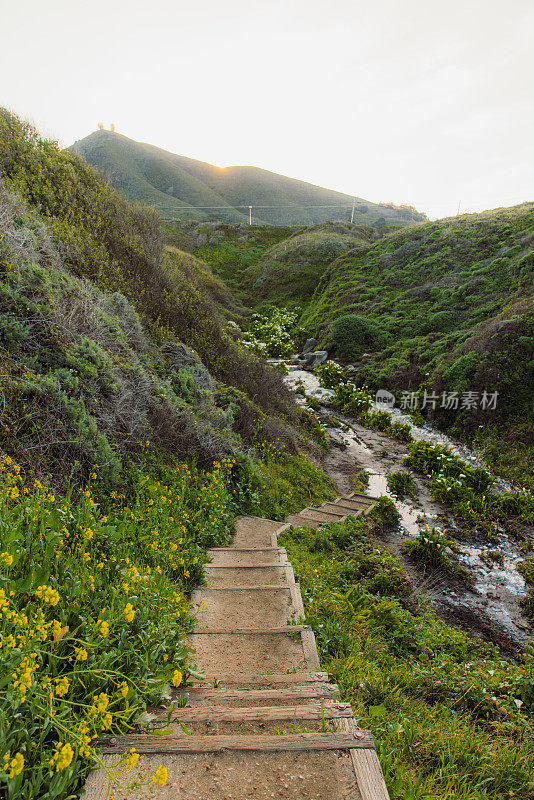 大苏尔海岸马蹄莲花谷的风景