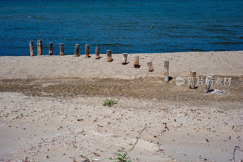 在加里波利，波兰人被埋在海边的沙子里