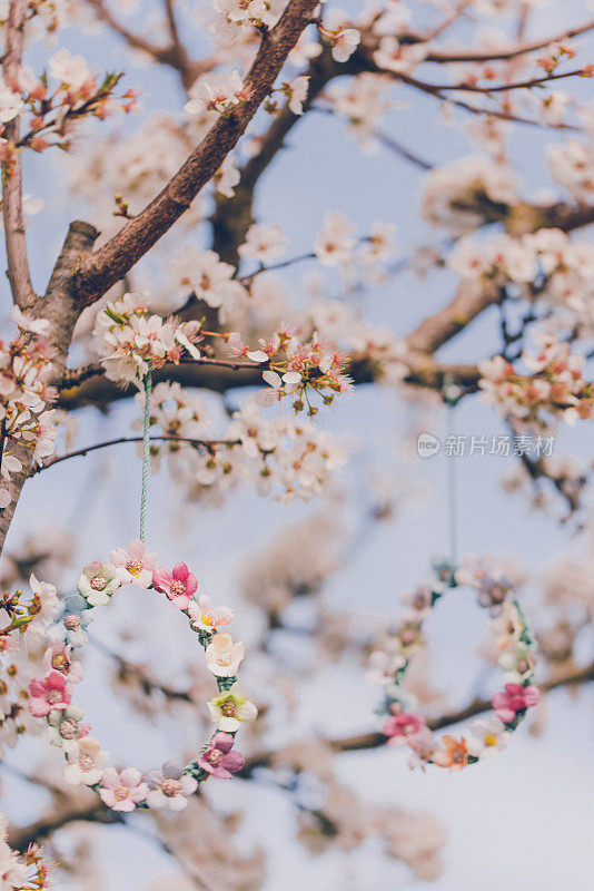 两颗美丽的自制彩蛋挂在一棵盛开的梅树上，彩蛋由流苏和纺织花朵制成