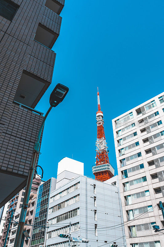 东京塔和东京的住宅楼