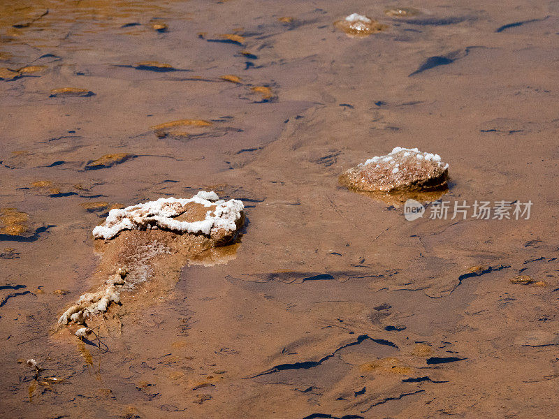 犹他州绿河沙漠中的小矿物饱和溪流细节。