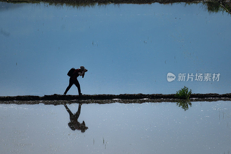 摄影师走在田地之间，捕捉Çorum地区Osmancık水田的灌溉景象。