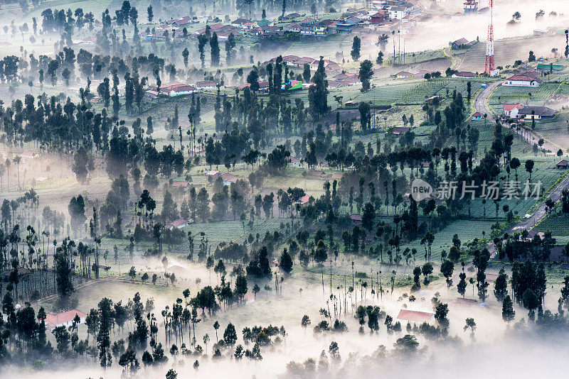 山上晨雾中的村庄和森林