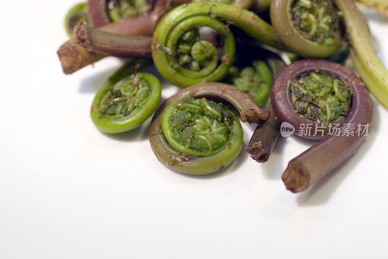 烹饪:船首饰蕨类植物