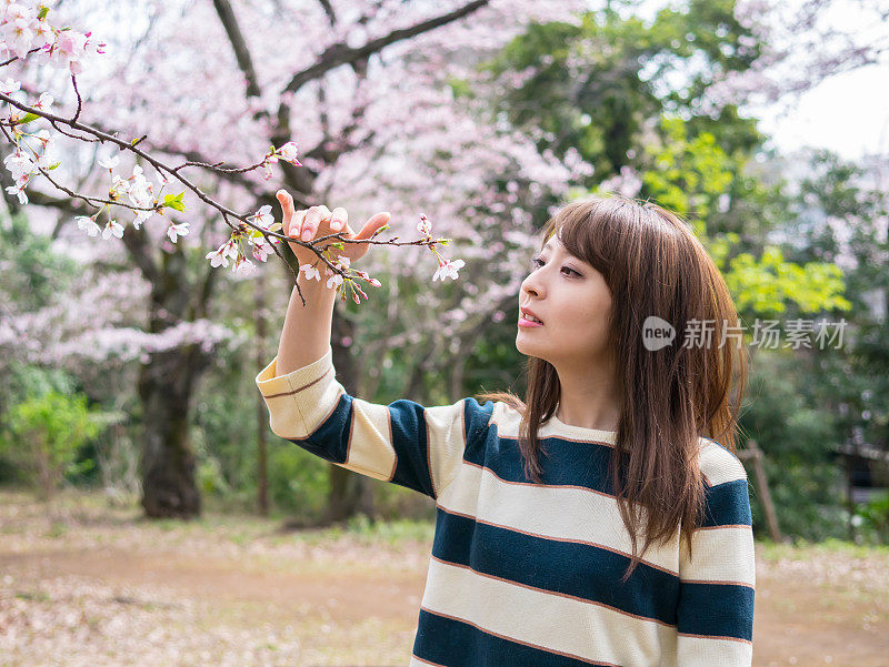 春天里的日本女人