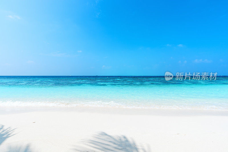 热带海滩的背景