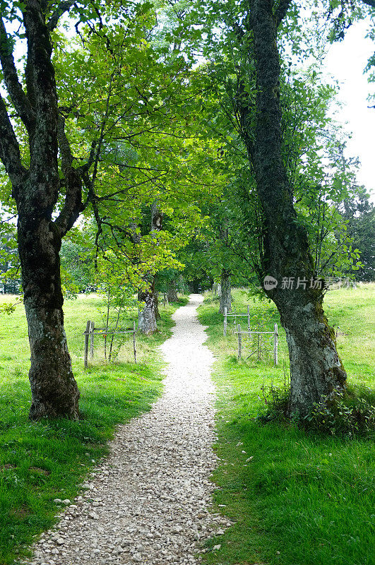 瑞士汝拉的风景