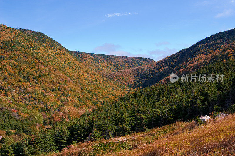 布雷顿角高地