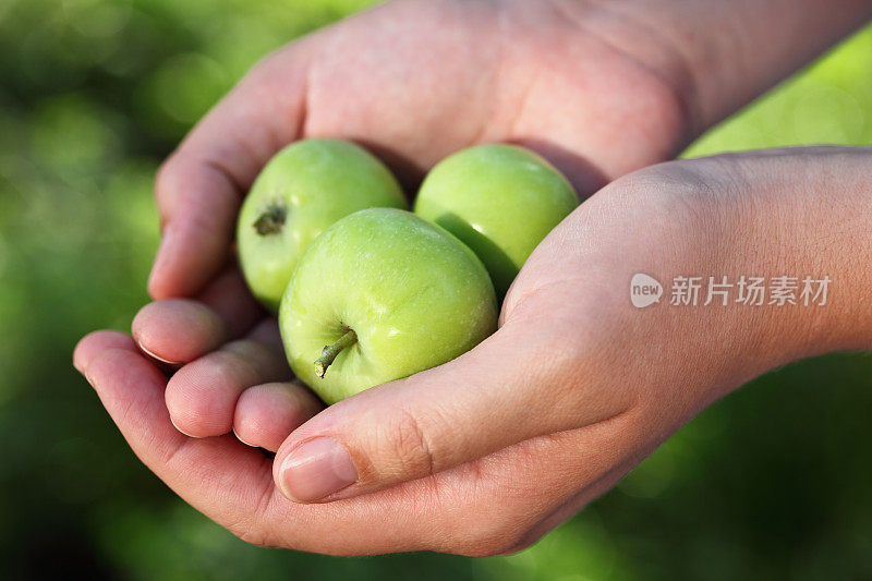 手捧青苹果