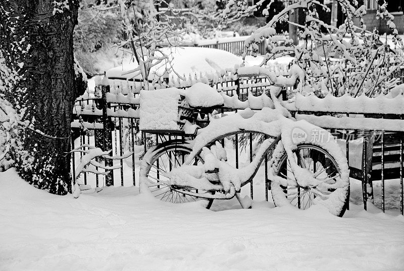 雪的自行车