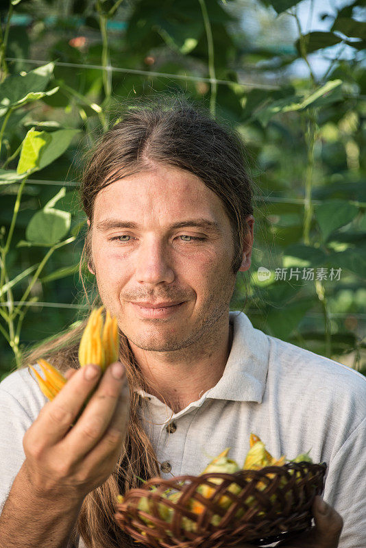 年轻的农民收获可食用的西葫芦花