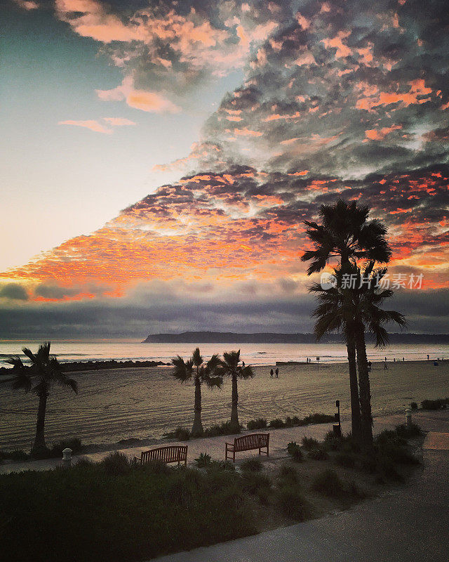 美国加利福尼亚州科罗纳多岛海滩上的日落