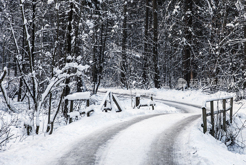 下雪的森林道路