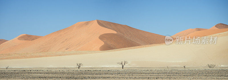 世界上最大的沙丘在Sossusvlei，纳米比亚，非洲。