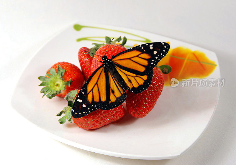 蝴蝶在水果