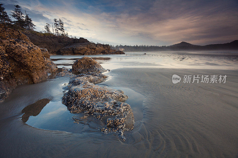 托菲海岸线