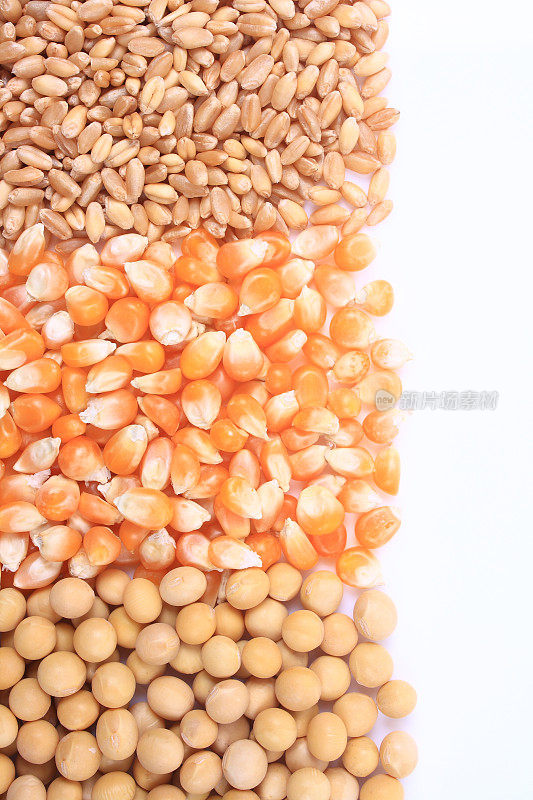 小麦，玉米和大豆