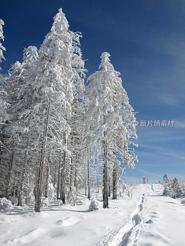 雪地的冬季景观与小径