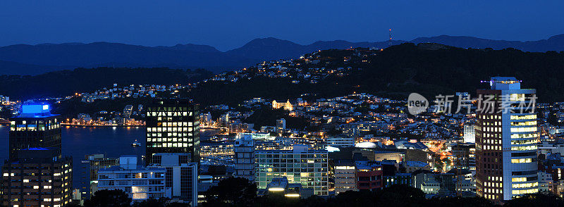 夜景惠灵顿城市全景，新西兰