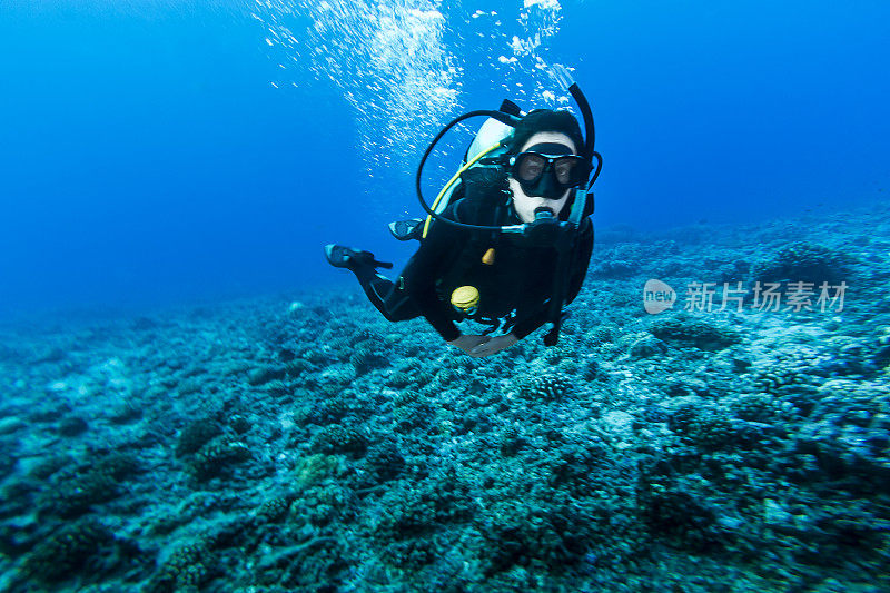 法属波利尼西亚，兰伊罗亚，蒂普塔山口的女子潜水