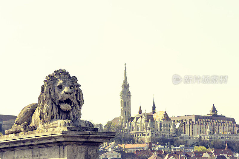 布达佩斯铁链桥的狮子头