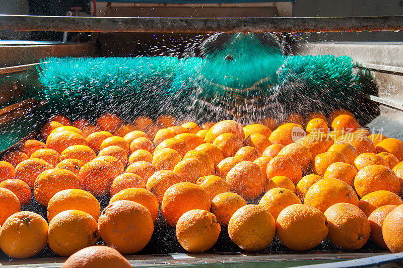 柑橘类水果的加工