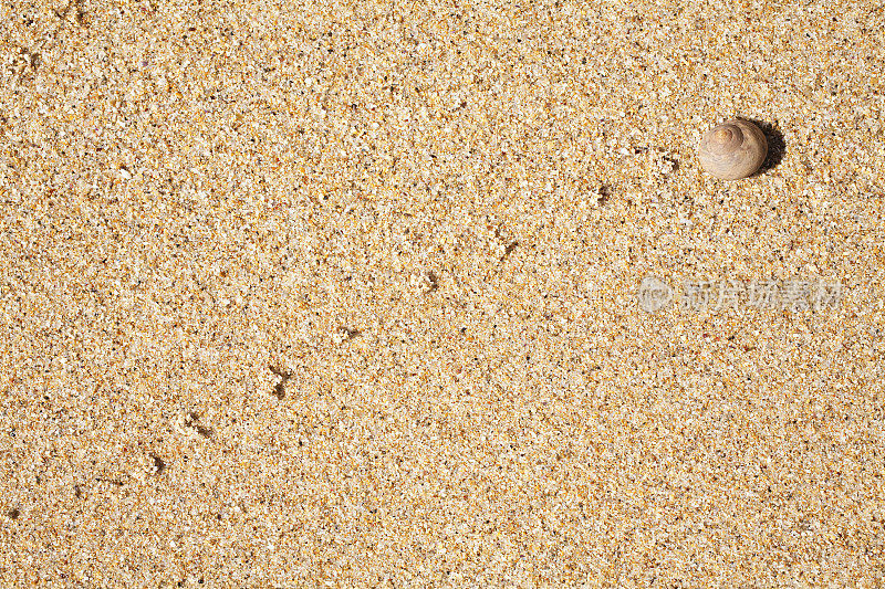 在沙子上留下痕迹的蜗牛