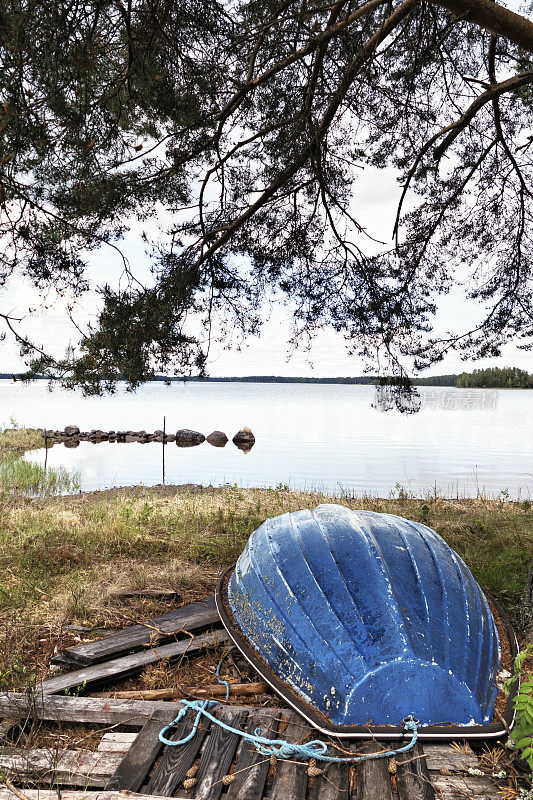 蓝色的小船倒挂在湖边的树下