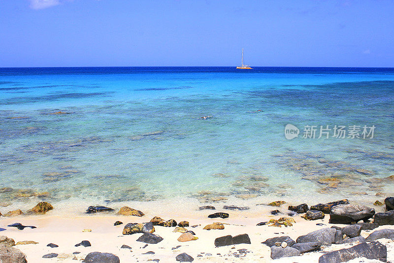 田园诗般的棕榈海滩热带绿松石海滩与船帆船，阿鲁巴-阳光蓝色半透明泻湖，夏天的天堂，荷属安的列斯群岛，加勒比海蓝色的海