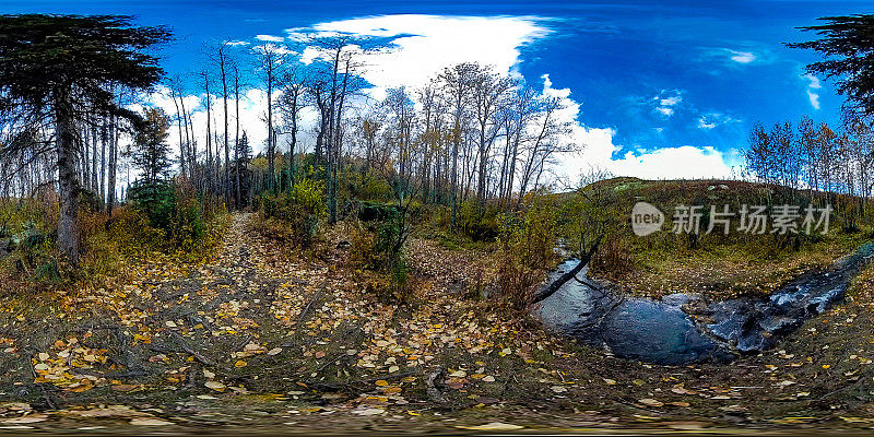 360照片秋天的户外荒野