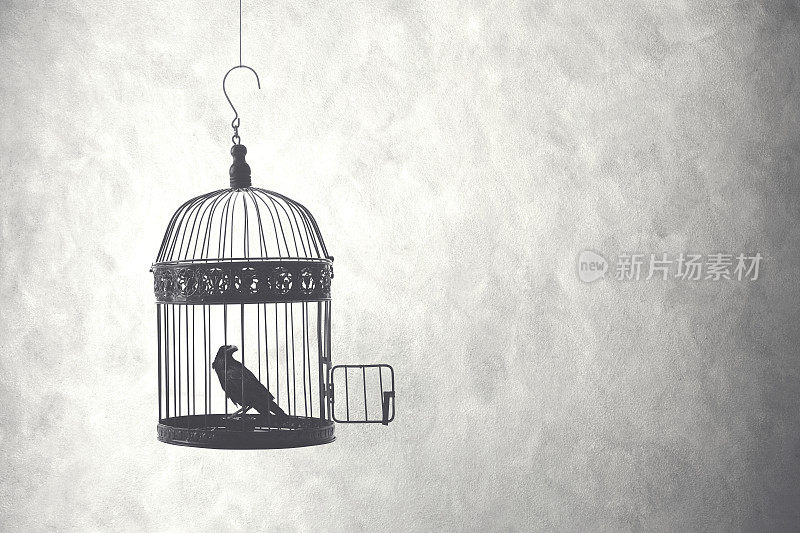 自由的概念，鸟在开放的笼子里