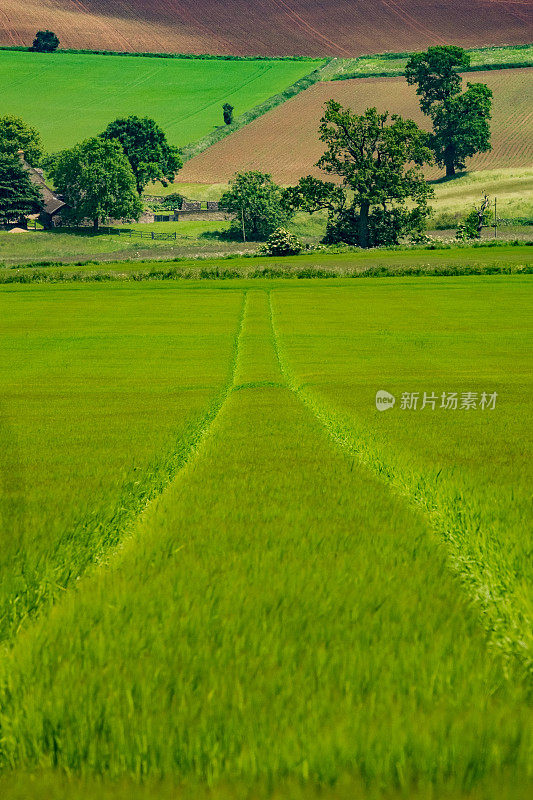 农田科茨沃尔德景观英国格洛斯特郡风景优美