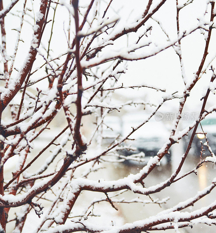 在居民区的大雪中开车。美国