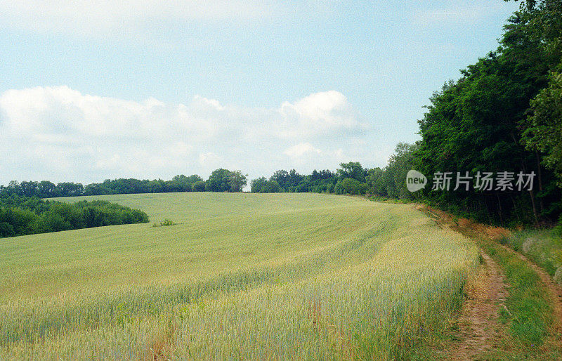 乡村公路穿过森林和草地。拍摄电影