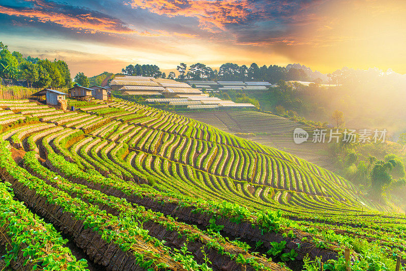 泰国北部的山景，日出和薄雾