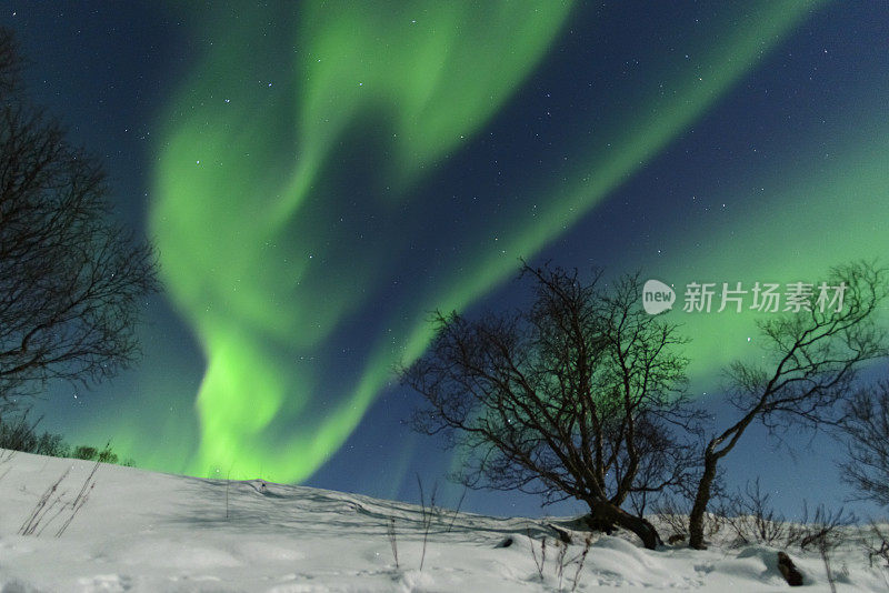 北极光挪威北部夜空中的北极光