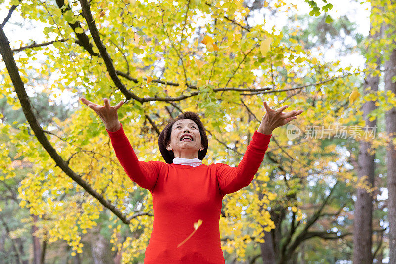 老年妇女享受秋天