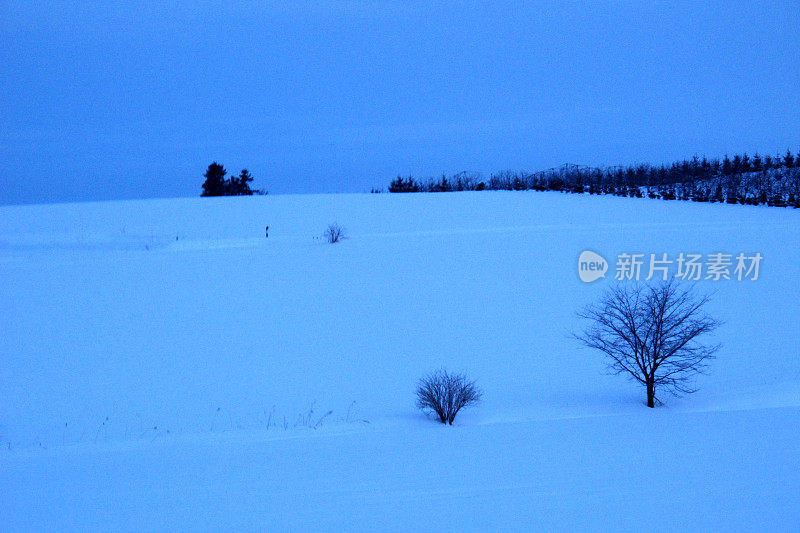 雪野清晨景观vdcm100-4