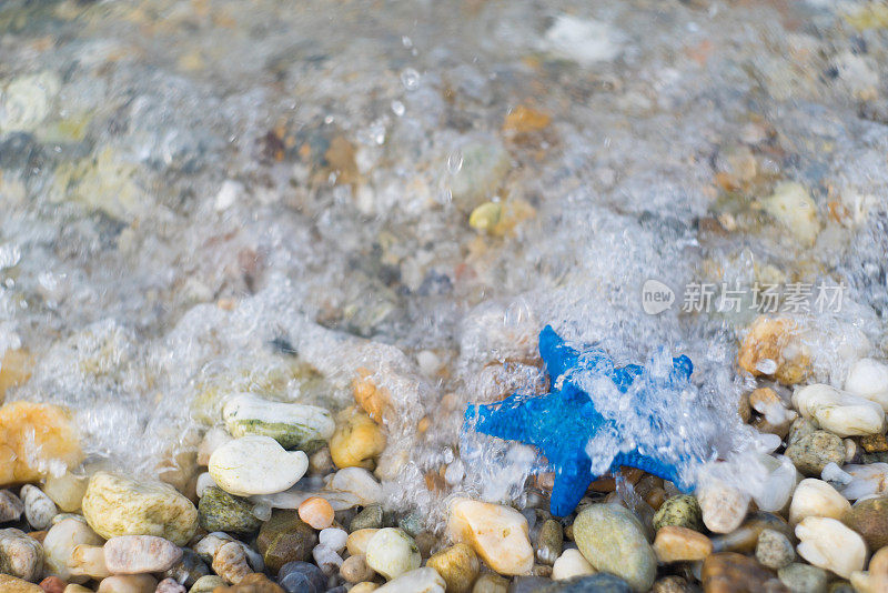 海浪中的蓝色海星