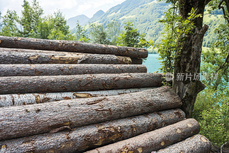 瑞士奥布瓦尔登的Lungern湖或Lungerersee湖边的原木