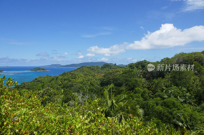 塞舌尔Praslin岛，Ferdinand自然保护区