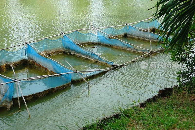 漂浮在河中的鱼笼，用于养鱼