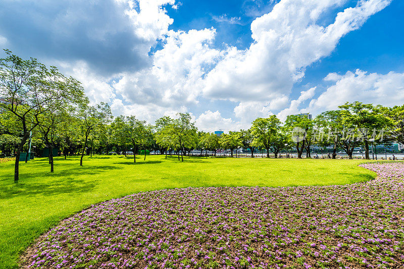 城市绿地