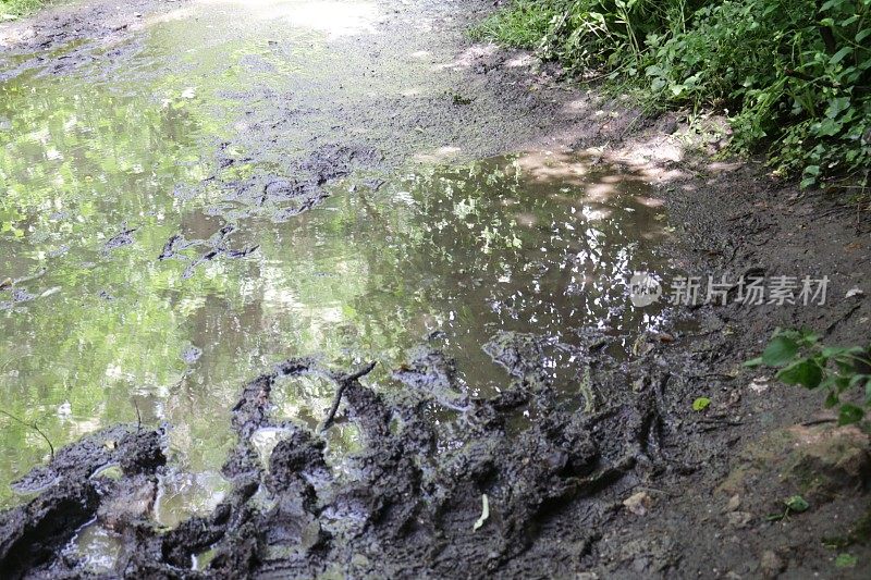 倾盆大雨过后，被水浸透的乡间小路上满是水坑，泥泞的靴子和脚印留在泥泞中