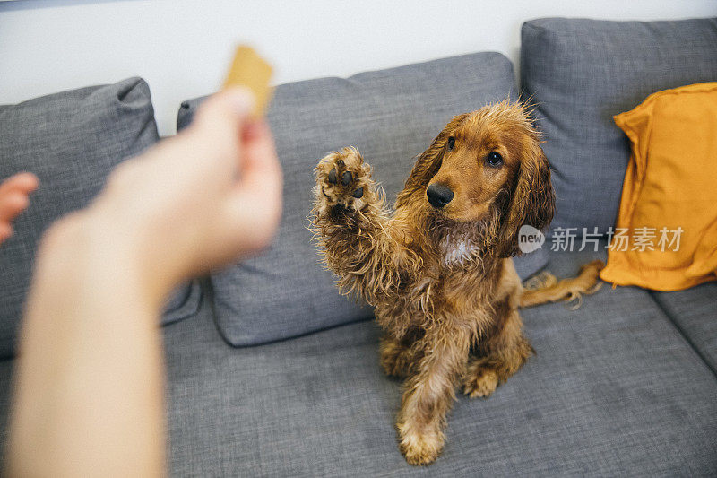 我可以吃点零食吗?